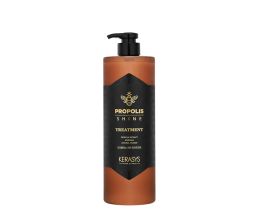 Kerasys - Própolis Shine Energy Tratamento 1L